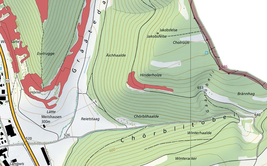 Landeskarte swisstopo mit dem Schutzperimeter von Eichhalde (Trockenwiese)