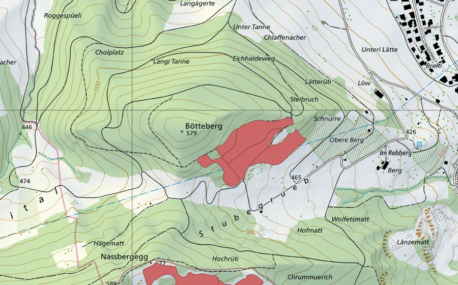 Landeskarte swisstopo mit dem Schutzperimeter von Eichhalden (Trockenwiese)