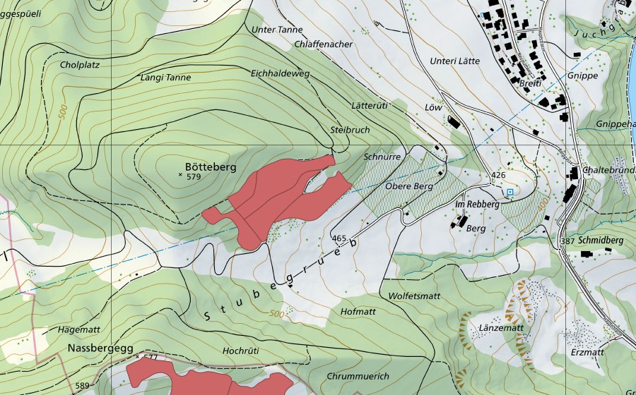 swisstopo national map showing the protected perimeter of Eichhalden (Dry meadow)