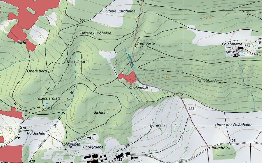 swisstopo national map showing the protected perimeter of Eichlenen (Dry meadow)
