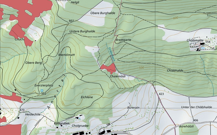 swisstopo national map showing the protected perimeter of Eichlenen (Dry meadow)