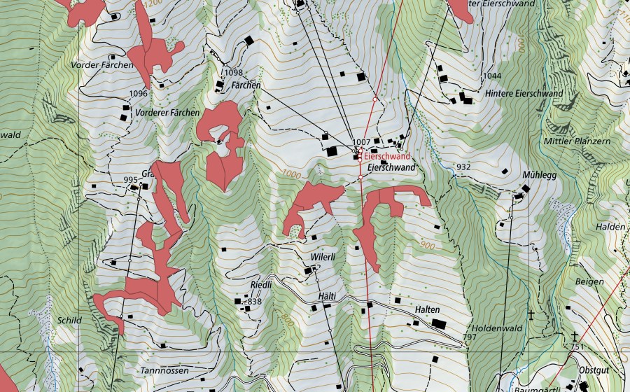 swisstopo national map showing the protected perimeter of Eierschwand (Dry meadow)