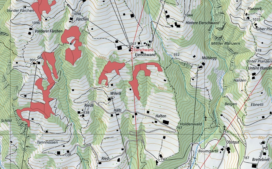swisstopo national map showing the protected perimeter of Eierschwand (Dry meadow)