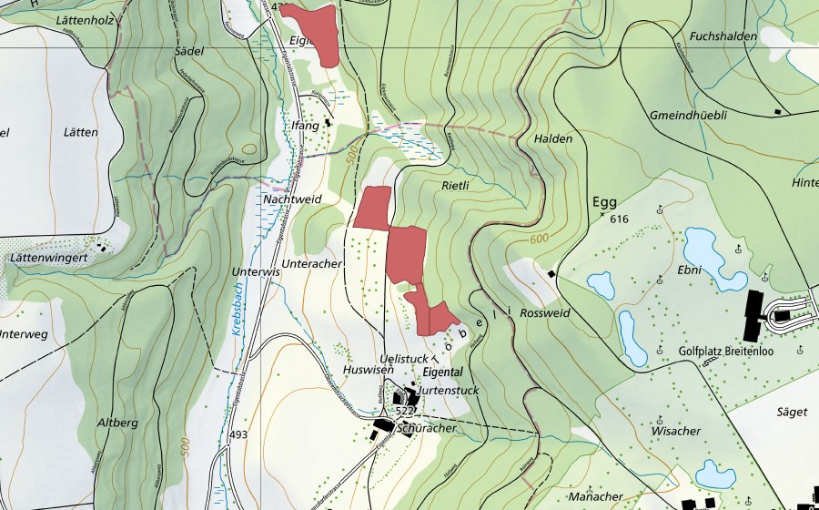 Landeskarte swisstopo mit dem Schutzperimeter von Eigental (Trockenwiese)