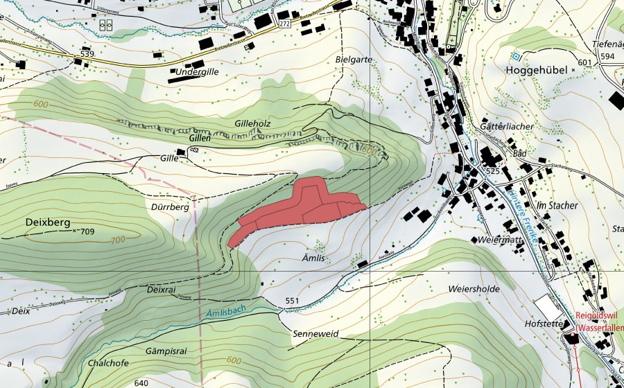 swisstopo national map showing the protected perimeter of Emlis (Dry meadow)