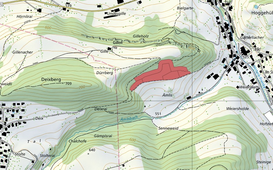 Landeskarte swisstopo mit dem Schutzperimeter von Emlis (Trockenwiese)