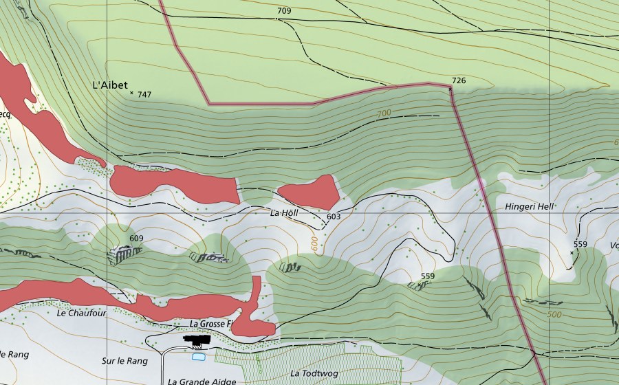Carte nationale swisstopo avec le périmètre protégé de En Bouec (Prairie sèche)