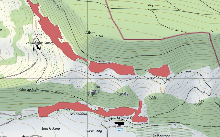 Landeskarte swisstopo mit dem Schutzperimeter von En Bouec (Trockenwiese)