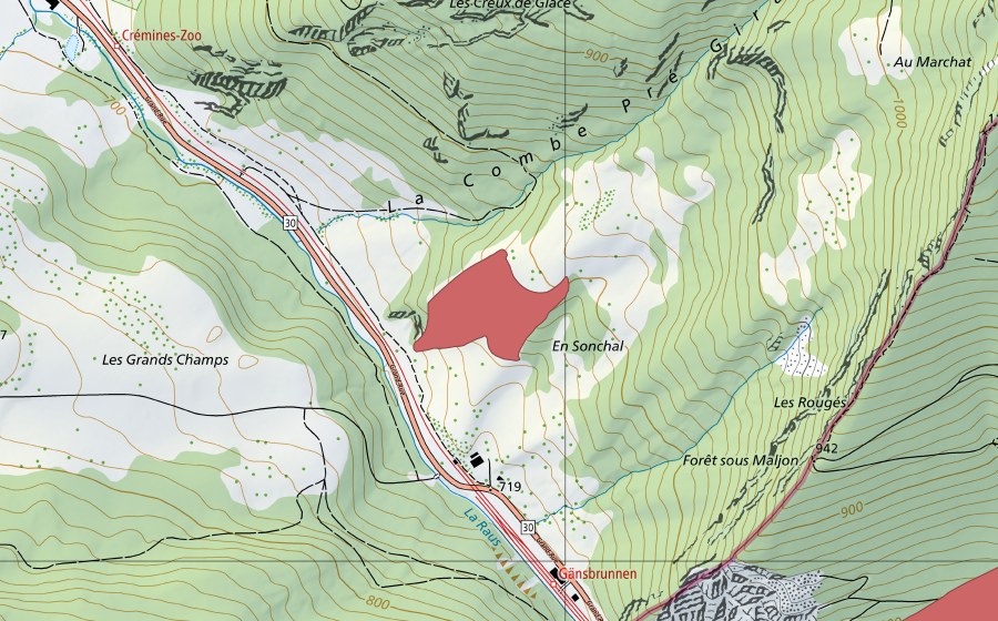 swisstopo national map showing the protected perimeter of En Sonchal (Dry meadow)