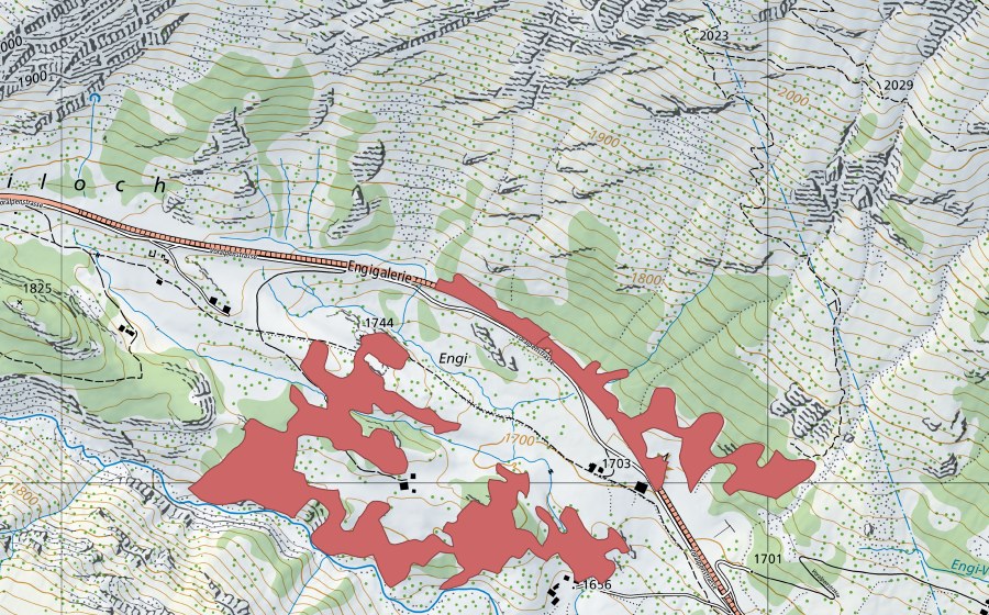 swisstopo national map showing the protected perimeter of Engi (Dry meadow)