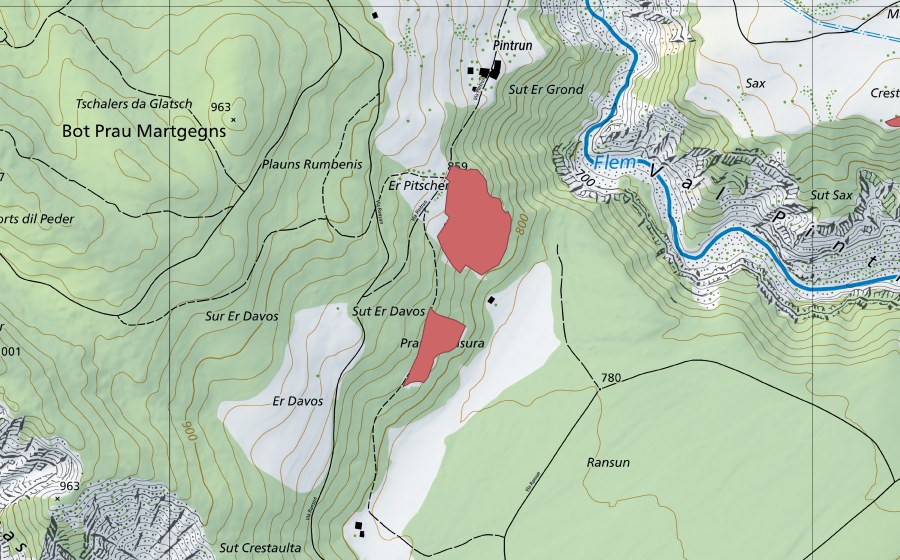 swisstopo national map showing the protected perimeter of Er Davos (Dry meadow)