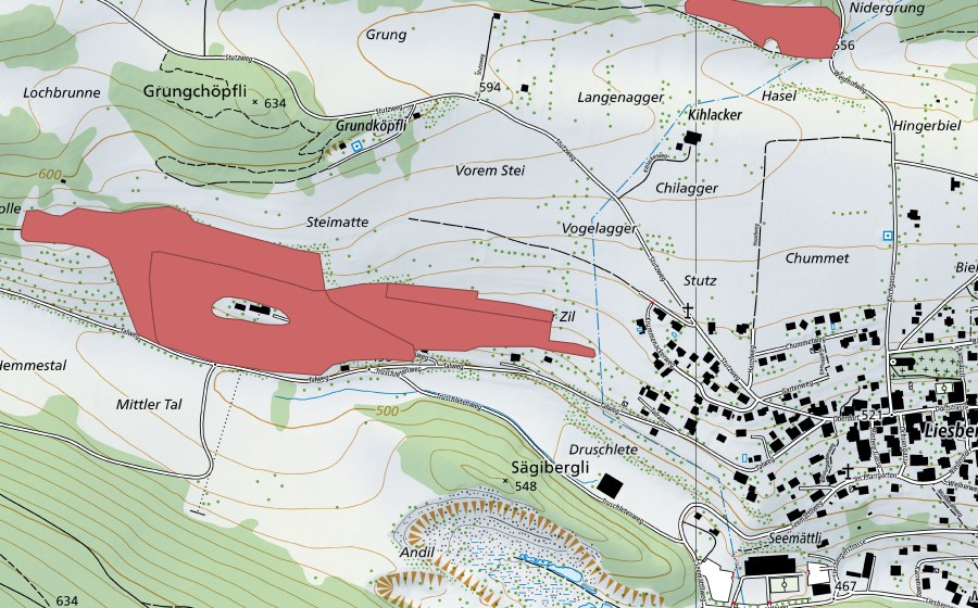 swisstopo national map showing the protected perimeter of Erhollen (Dry meadow)