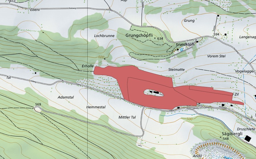 Landeskarte swisstopo mit dem Schutzperimeter von Erhollen (Trockenwiese)
