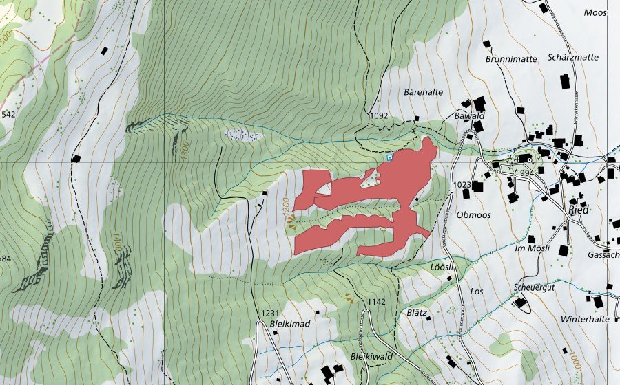swisstopo national map showing the protected perimeter of Erle (Dry meadow)
