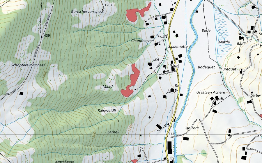 Carte nationale swisstopo avec le périmètre protégé de Erle (Prairie sèche)