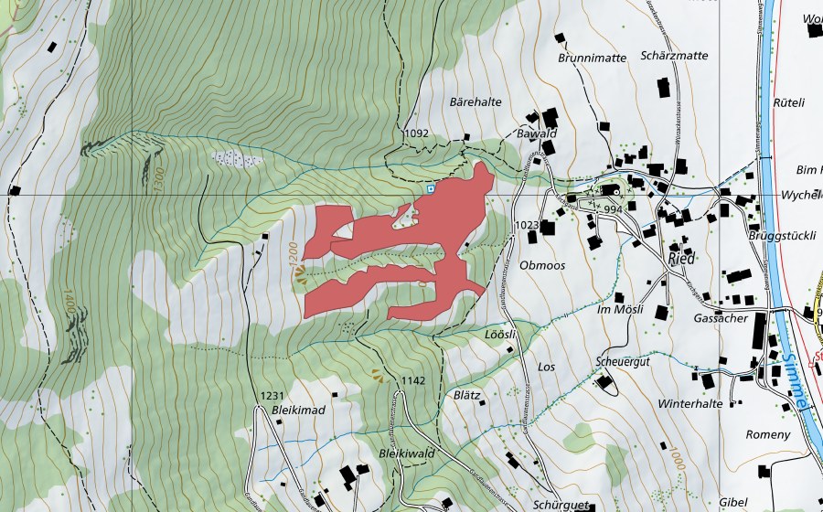 Landeskarte swisstopo mit dem Schutzperimeter von Erle (Trockenwiese)