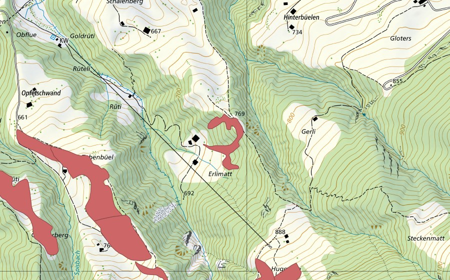 Landeskarte swisstopo mit dem Schutzperimeter von Erlimatt (Trockenwiese)