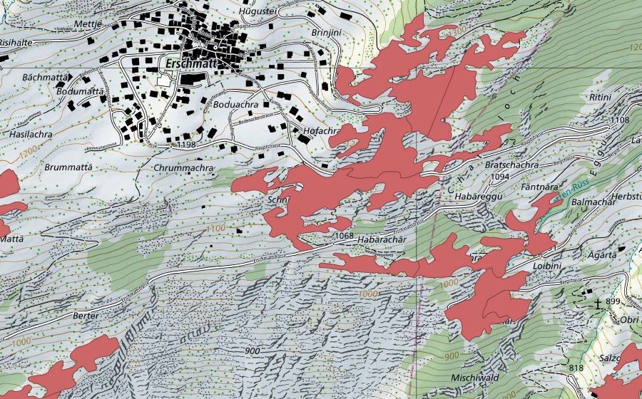swisstopo national map showing the protected perimeter of Erschmatt (Dry meadow)