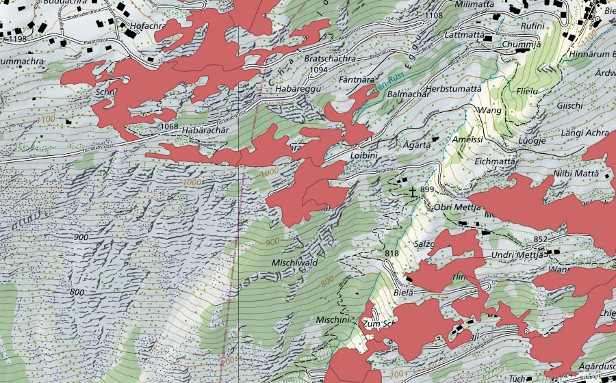 swisstopo national map showing the protected perimeter of Erschmatt (Dry meadow)
