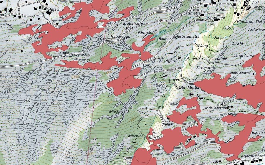 Landeskarte swisstopo mit dem Schutzperimeter von Erschmatt (Trockenwiese)