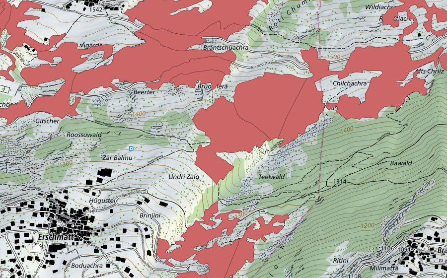 swisstopo national map showing the protected perimeter of Erschmatt (Dry meadow)