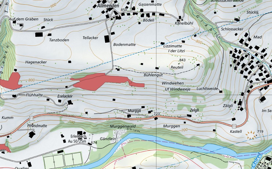 swisstopo national map showing the protected perimeter of Eselacher (Dry meadow)