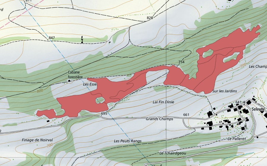 Landeskarte swisstopo mit dem Schutzperimeter von Esserts de la Côte (Trockenwiese)