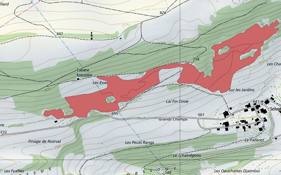 Carte nationale swisstopo avec le périmètre protégé de Esserts de la Côte (Prairie sèche)