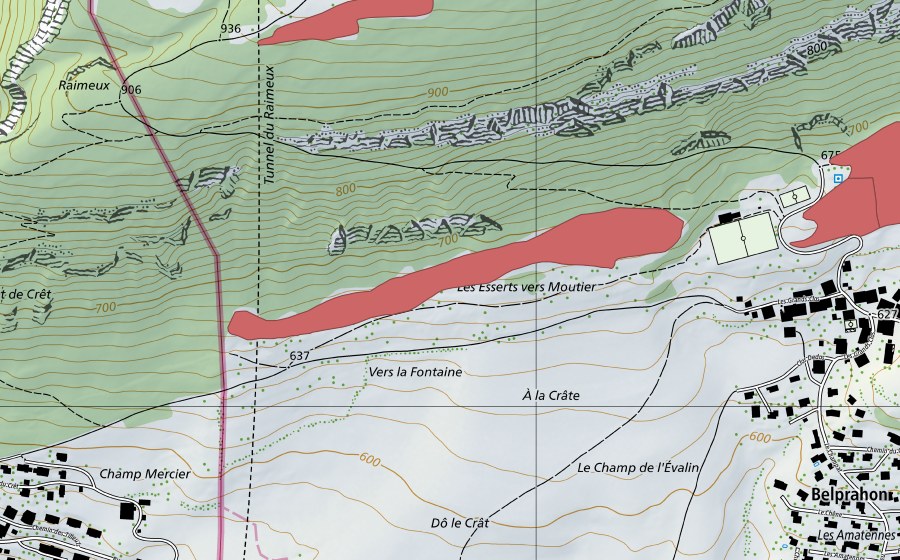 Landeskarte swisstopo mit dem Schutzperimeter von Esserts vers Moutier (Trockenwiese)