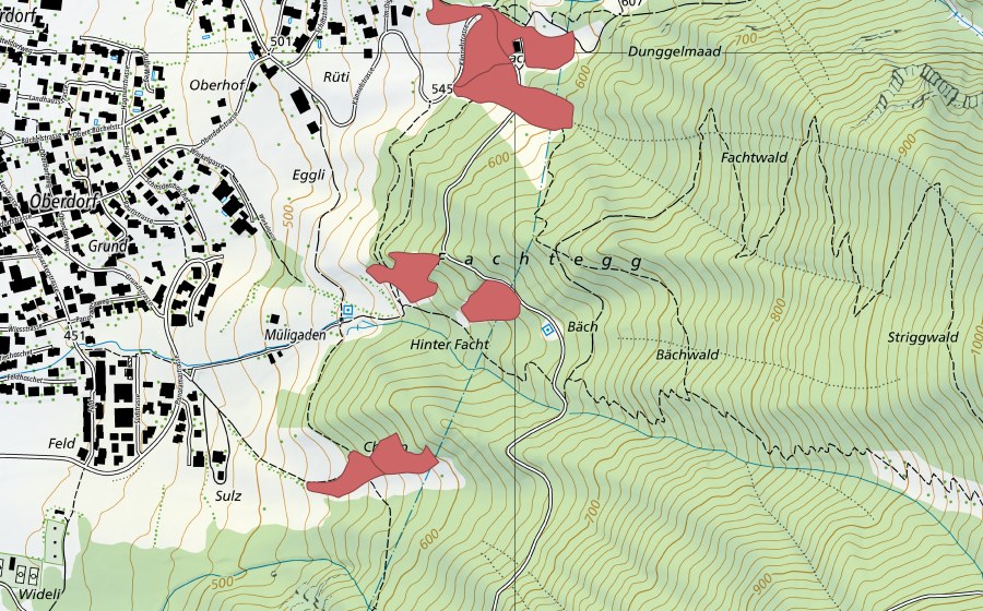 swisstopo national map showing the protected perimeter of Fachtegg (Dry meadow)