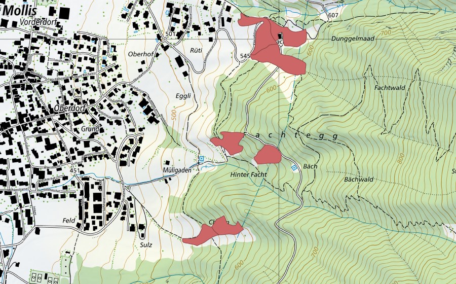 swisstopo national map showing the protected perimeter of Fachtegg (Dry meadow)