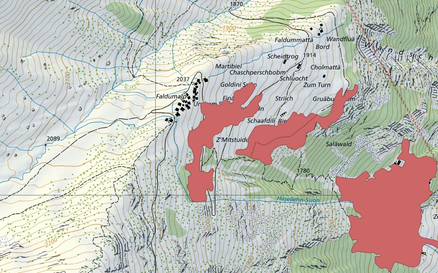 Carte nationale swisstopo avec le périmètre protégé de Faldumalp (Prairie sèche)