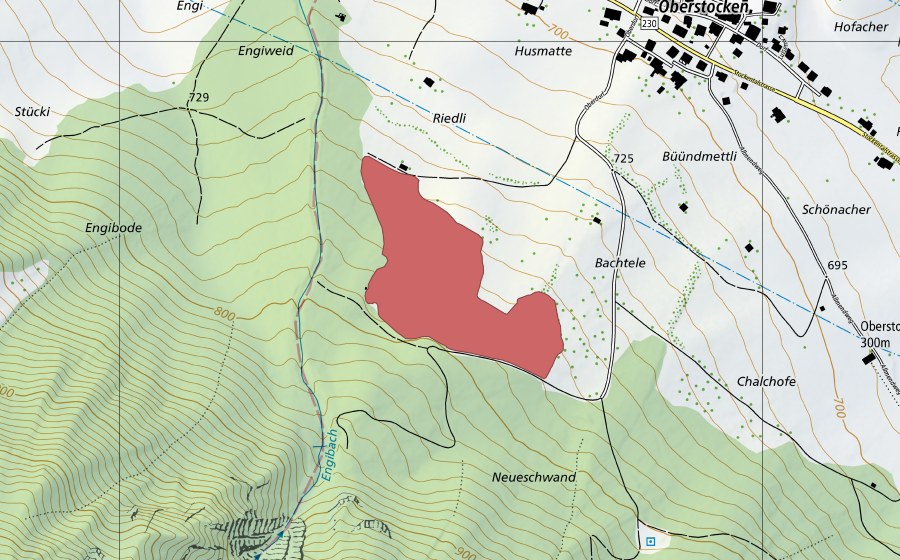 Carte nationale swisstopo avec le périmètre protégé de Fallbachhubel (Prairie sèche)