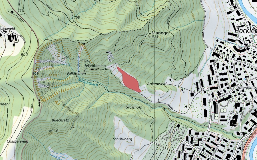Landeskarte swisstopo mit dem Schutzperimeter von Falletsche (Trockenwiese)