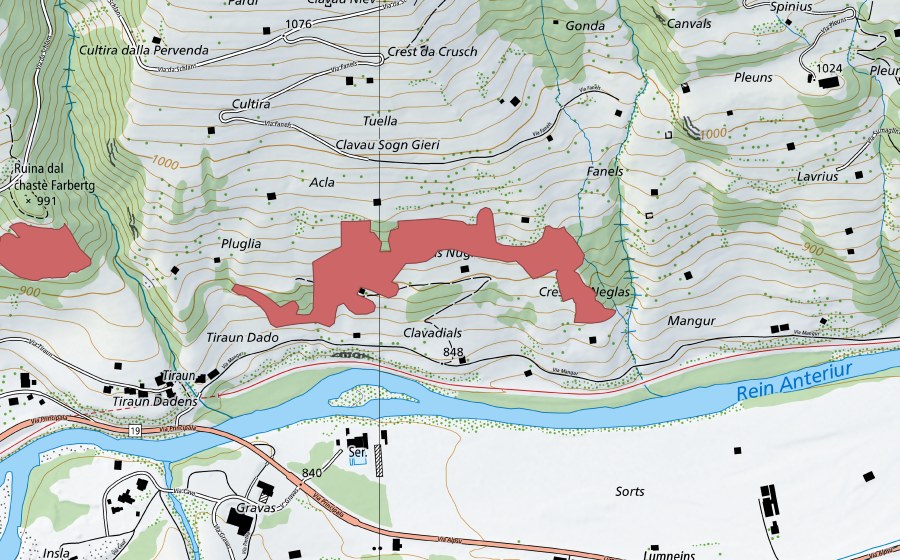 swisstopo national map showing the protected perimeter of Fanels (Dry meadow)