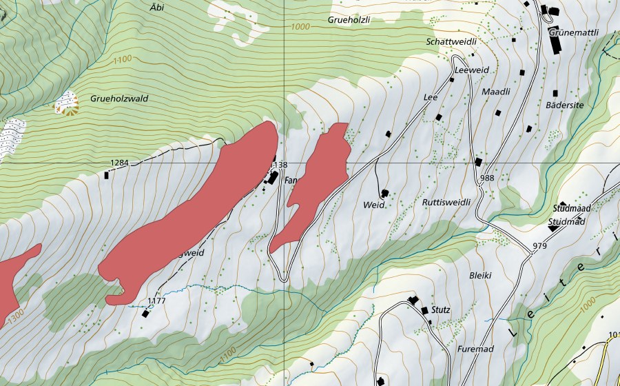 swisstopo national map showing the protected perimeter of Fangweid (Dry meadow)