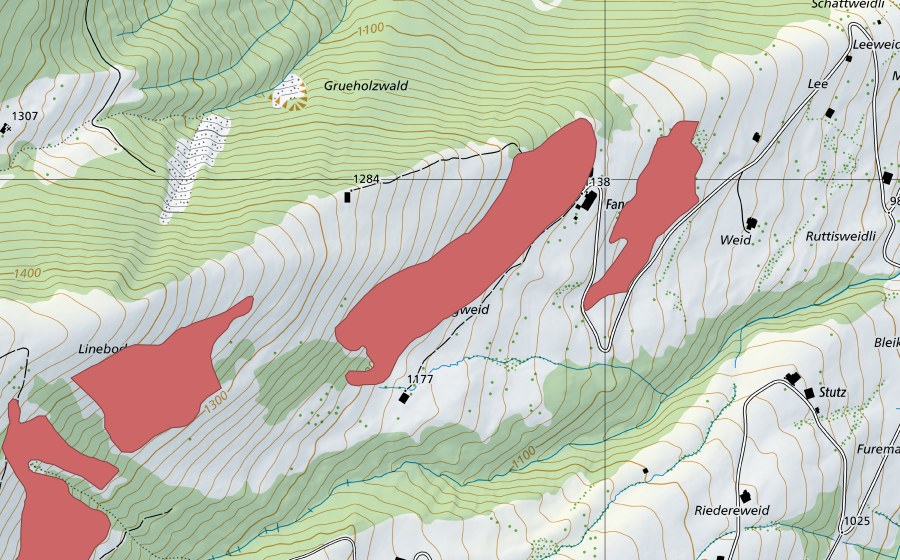 swisstopo national map showing the protected perimeter of Fangweid (Dry meadow)