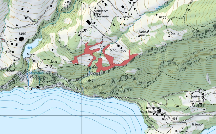 Landeskarte swisstopo mit dem Schutzperimeter von Faren (Trockenwiese)
