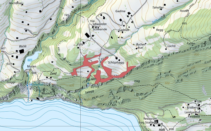 swisstopo national map showing the protected perimeter of Faren (Dry meadow)