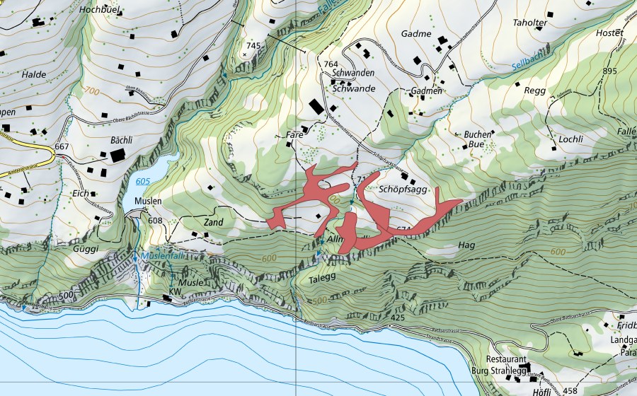 Landeskarte swisstopo mit dem Schutzperimeter von Faren (Trockenwiese)