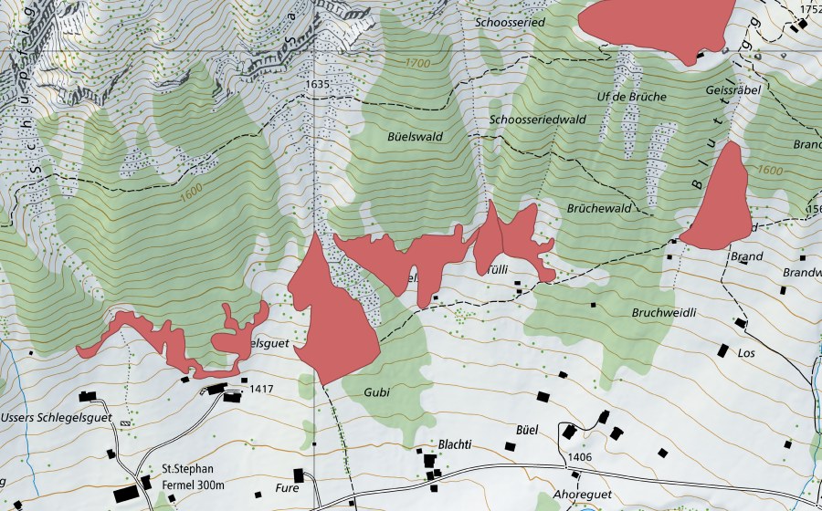 Landeskarte swisstopo mit dem Schutzperimeter von Färmel (Trockenwiese)