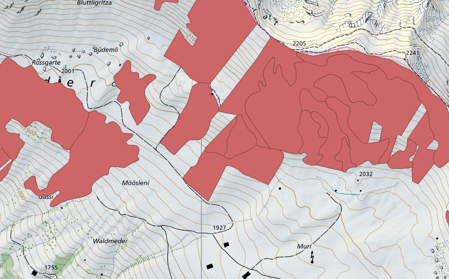 swisstopo national map showing the protected perimeter of Färmelmeder (Dry meadow)