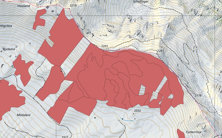 swisstopo national map showing the protected perimeter of Färmelmeder (Dry meadow)