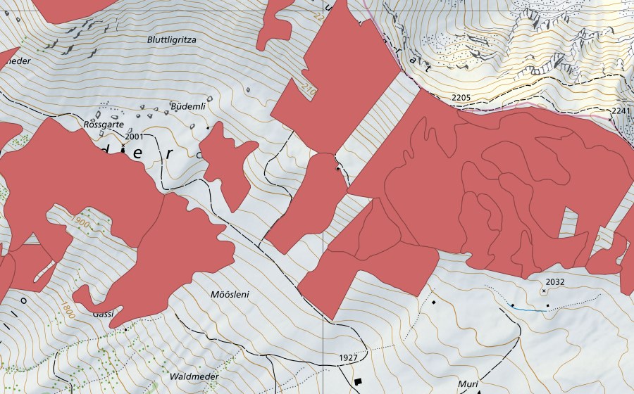 swisstopo national map showing the protected perimeter of Färmelmeder (Dry meadow)