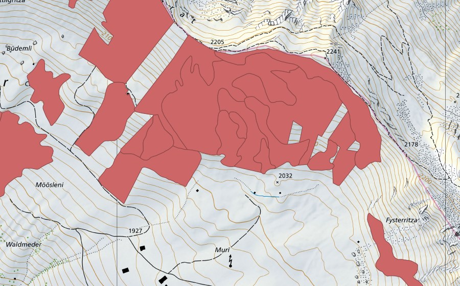 Landeskarte swisstopo mit dem Schutzperimeter von Färmelmeder (Trockenwiese)