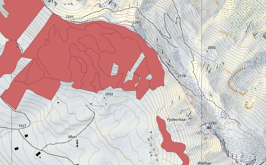 Landeskarte swisstopo mit dem Schutzperimeter von Färmelmeder (Trockenwiese)