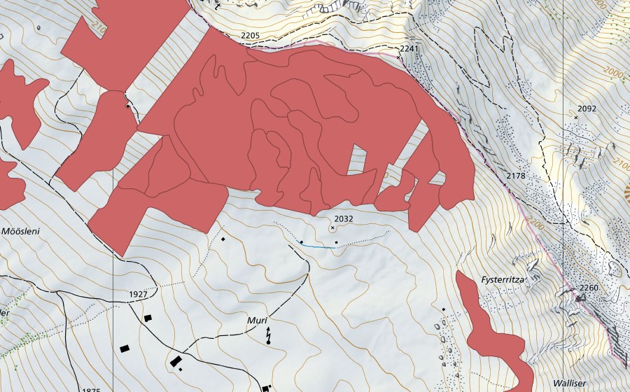 swisstopo national map showing the protected perimeter of Färmelmeder (Dry meadow)