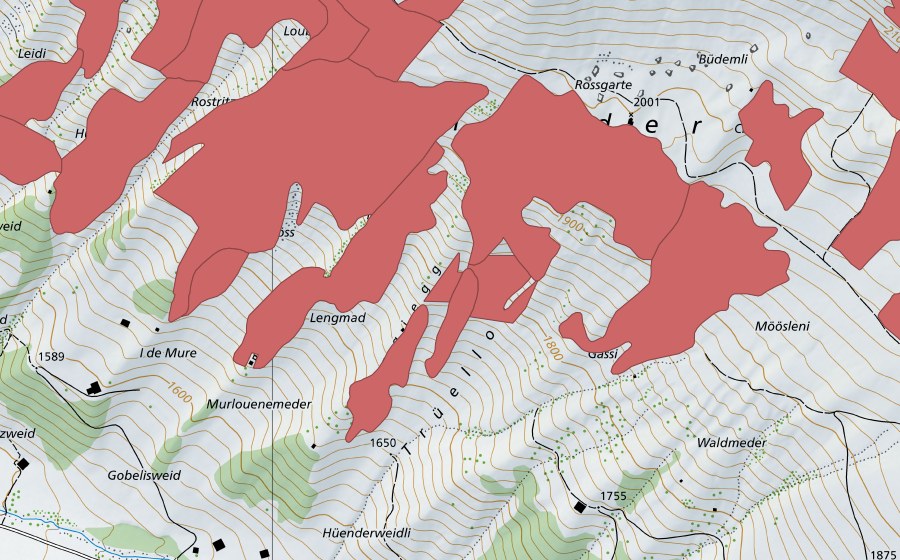 Landeskarte swisstopo mit dem Schutzperimeter von Färmelmeder (Trockenwiese)
