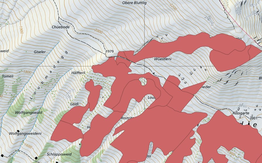 swisstopo national map showing the protected perimeter of Färmelmeder (Dry meadow)