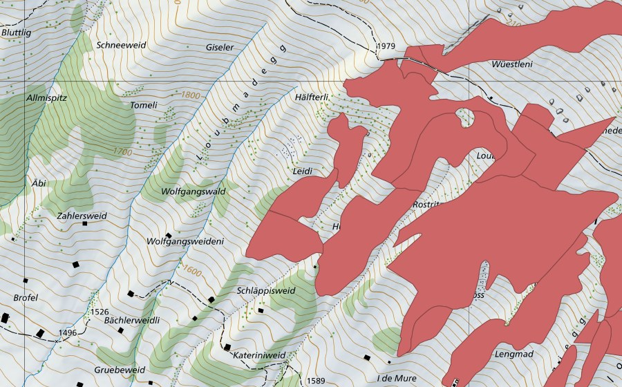 Landeskarte swisstopo mit dem Schutzperimeter von Färmelmeder (Trockenwiese)